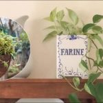 Drugo življenje starih stvari: nepričakovane ideje za sadilnike iz priročnih