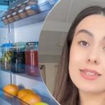 Hladilnik bo hladen dvakrat dlje: kako shraniti hrano brez luči