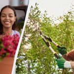 Morda ga ne bodo preživele: katerih rastlin pozimi ne smete