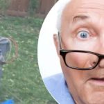 Nenavadna najdba ob drevesu je soseda zmedla: kakšno skrivnost skriva