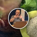 Od sadike do pridelka: strokovnjak našteva tri skupine gnojil, ki